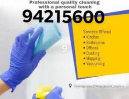 best house cleaning flats apartment cleaning services