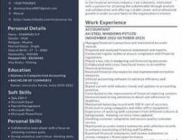 looking for an accountant job